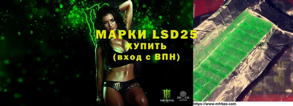 ГАЛЛЮЦИНОГЕННЫЕ ГРИБЫ Вязники