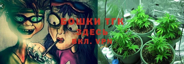 СК Горнозаводск