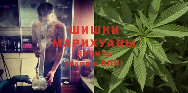 ГАЛЛЮЦИНОГЕННЫЕ ГРИБЫ Вязники