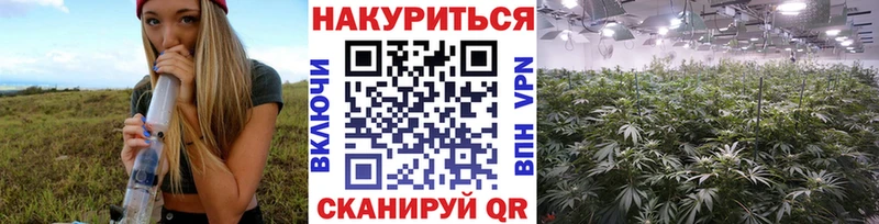 Шишки марихуана SATIVA & INDICA  Купить где  Циолковский 